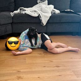 Pug Puppies from Wicked Kennel