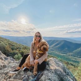 Bernedoodles and Goldendoodles from Vineyard Doodles