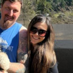 Golden Mountain Doodles and Yorkshire Terriers from Yorkie To Hapiness