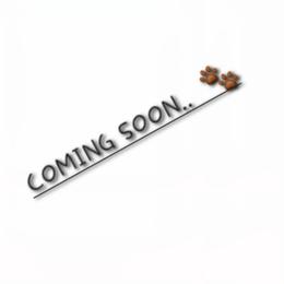 Pyra - Black and tan female Yorkshire Terrier puppy in North Huntington, Pennsylvania from Charz Dollz