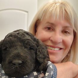 Poodle Puppies from Canterland Farm