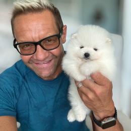 Valentino - White male Pomeranian puppy in Charlotte, North Carolina from Kouture Pomeranians
