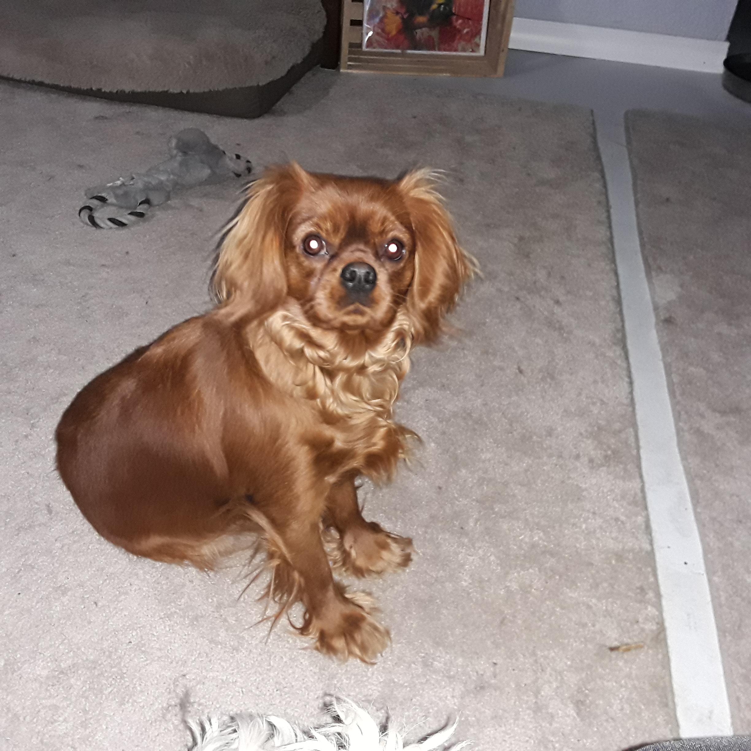 Ellie
