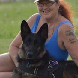 German Shepherds from Climbing Rose Farm & Kennels