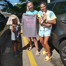 Basset Hound Puppies from Redbud Ranch Basset Hounds