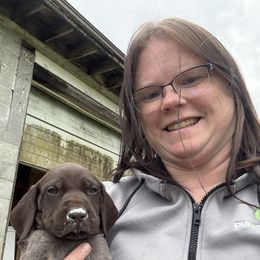 Jaxx - Liver roan male German Shorthaired Pointer puppy in Onalaska, Washington from Boonies Farms