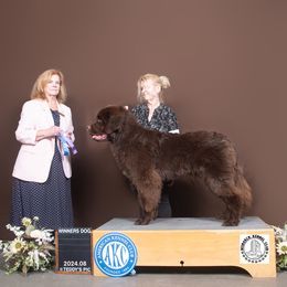 Liam - Newfoundland