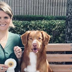 Nova Scotia Duck Tolling Retrievers from Northern Seafog Kennel