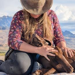 Anatolian Shepherd Dog and Labrador Retriever Puppies from Learning With Dogs