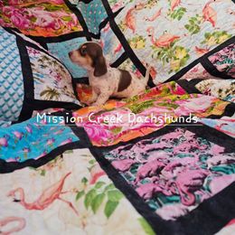 Girl 3 - Chocolate and tan Dachshund puppy in Winchester, Idaho from Mission Creek Dachshunds