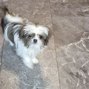 Rocky - Mi-Ki