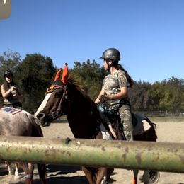 Dachshunds from AJMT Ranch and Country Doxies