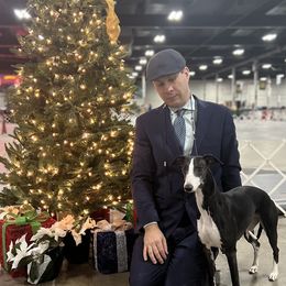 Letty - Whippet