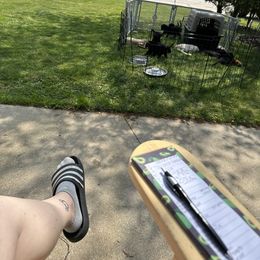 Labrador Retriever Puppies from Hunter’s Moon Retrievers