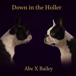 Boston Terrier puppies from Down in the Holler
