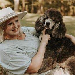 Little Joe - Poodle