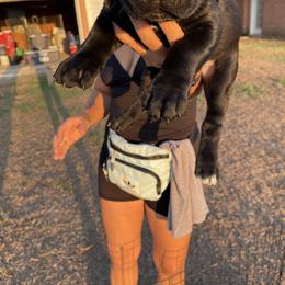 Boy 5 - Cane Corso puppy in Weimar, Texas from Cane Corso Authority
