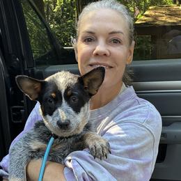 L63-05 - Blue female Australian Cattle Dog puppy in Sheridan, Oregon from 6pk Cattledogs