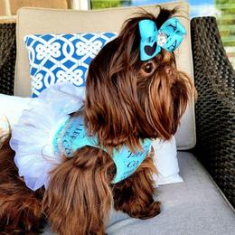 Hayley - Liver female Shih Tzu puppy in Richmond, Texas from Aleka Shih Tzu