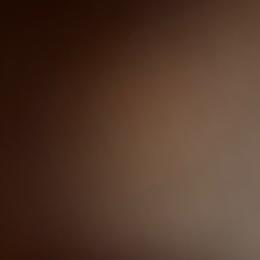 Girl 4 - Black and gold Yorkshire Terrier puppy in Maple Heights, Ohio from Yorkiesllc