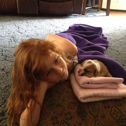 Bulldog and French Bulldog Puppies from Crystals Bulldog Bungalow