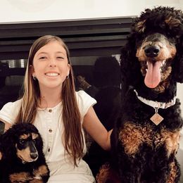 Poodles from Poodles of Pony Express