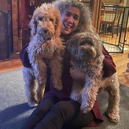 Aussiedoodle, Bernedoodle, and Poodle All Grown Up from Awesome Paws