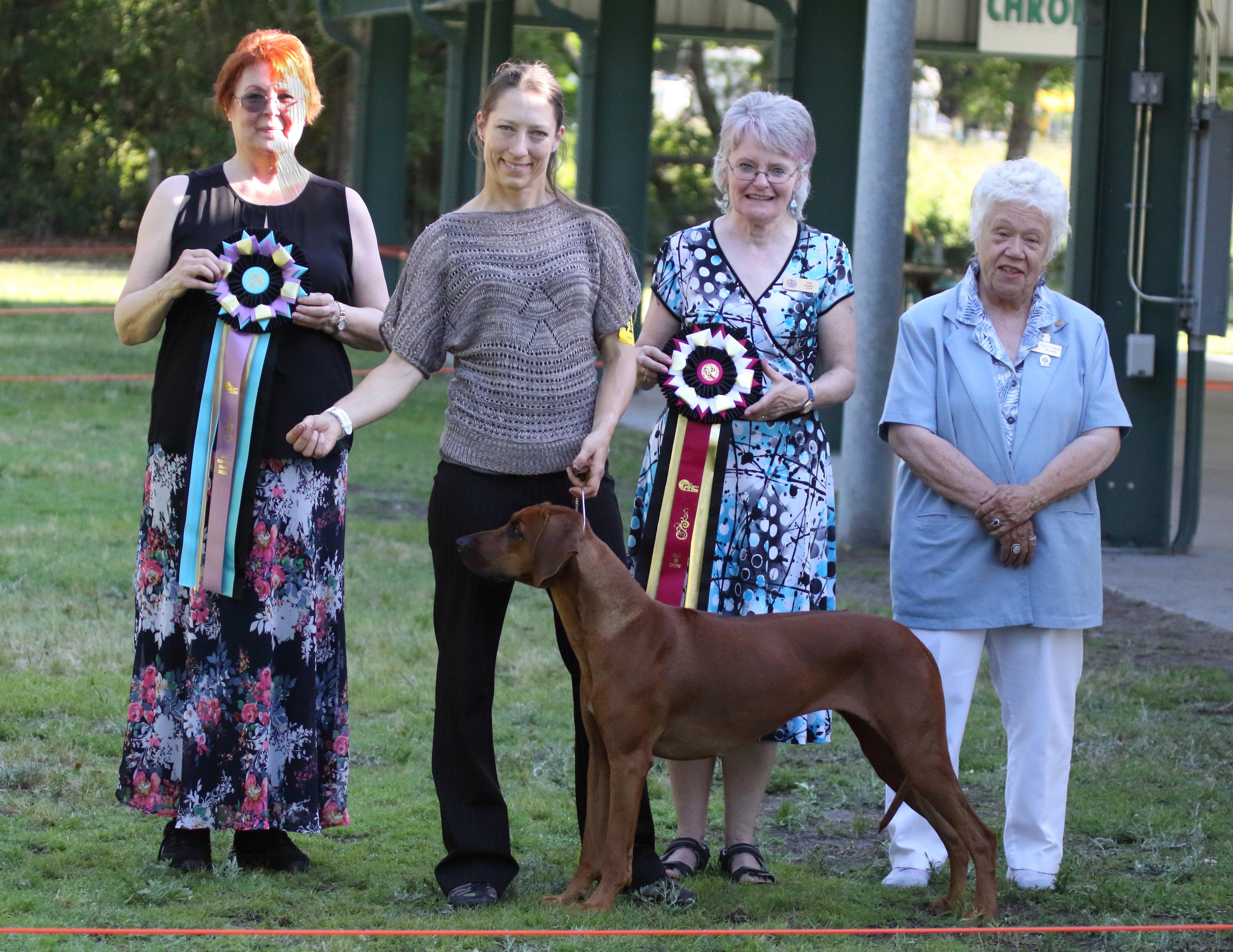Malibak Rhodesians in Arizona | Rhodesian Ridgeback puppies | Good Dog
