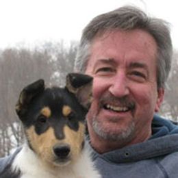Collie Puppies from Tango Collies