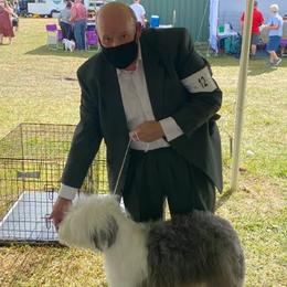 Old English Sheepdogs from Karl Kennels