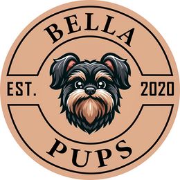 Miniature Schnauzer puppies from Bella Pups LLC