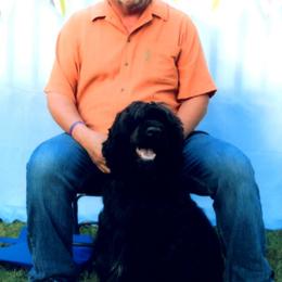 Portuguese Water Dog All Grown Up from Pastor dePeixes
