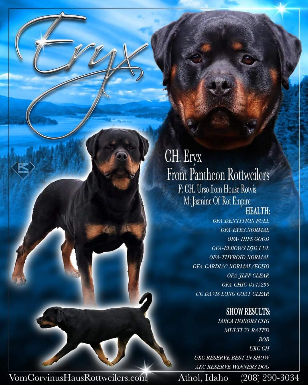 ERYX