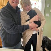Michael Phelps - Black Barbet puppy in New Bedford, Massachusetts from Barbie's Barbets