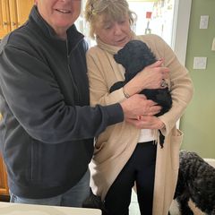 Michael Phelps - Black Barbet puppy in New Bedford, Massachusetts from Barbie's Barbets