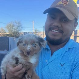 Sumac - Red merle male Australian Shepherd puppy in Tucson, Arizona from TTTNT Aussies