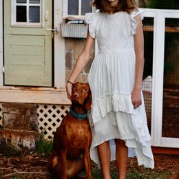 Vizsla All Grown Up from Alaea Farm & Kennel