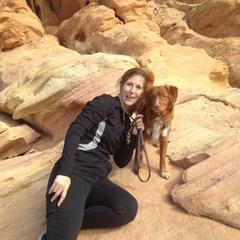 Nova Scotia Duck Tolling Retriever All Grown Up from Melinda Van's Nova Scotia Duck Tolling Retrievers