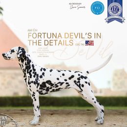 Cruella De Vil - Dalmatian