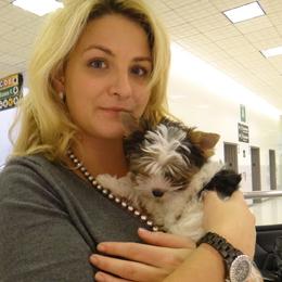 Biewer Terrier Puppies from Butterfly Biewers
