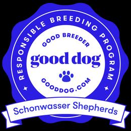 German Shepherd Puppies from Schonwasser Shepherds