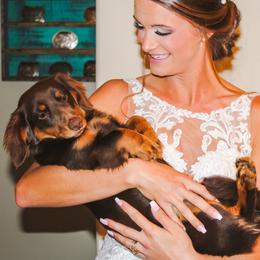 Ms Shorties Dally - Dachshund