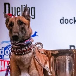 Lurchers from MC Lurchers