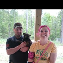 German Shepherd Puppies from Rammstein Kennels