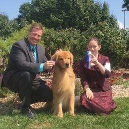 Golden Retriever All Grown Up from Firefly Cottage Golden Retrievers