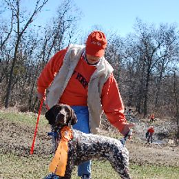 German Shorthaired Pointers from Stelor
