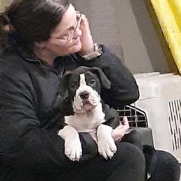 Alapaha Blue Blood Bulldog Puppies from Eclipse Alapaha Kennels