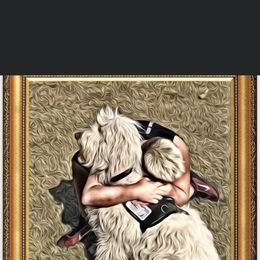 Bernedoodle, Goldendoodle, and Aussiedoodle All Grown Up from Arizona Goldendoodles