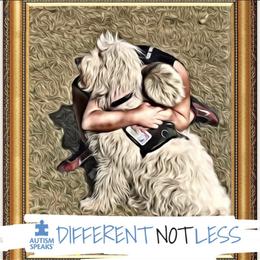 Bernedoodle, Goldendoodle, and Aussiedoodle All Grown Up from Arizona Goldendoodles