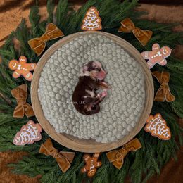 Girl 1 - female Miniature Australian Shepherd puppy in Oklahoma City, Oklahoma from Outland Toy & Mini Aussies